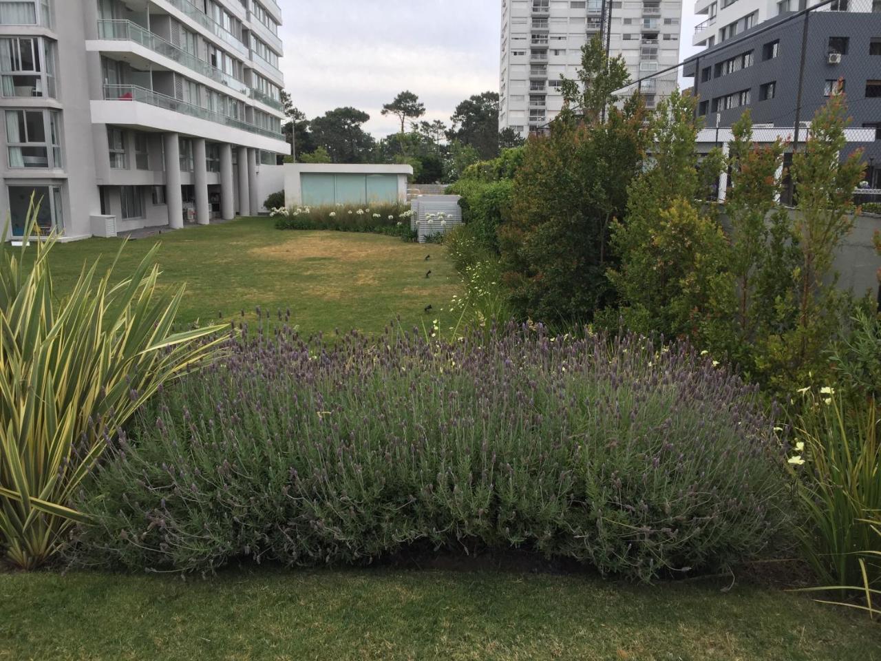 Bellagio Tower New Apartments Punta del Este Buitenkant foto
